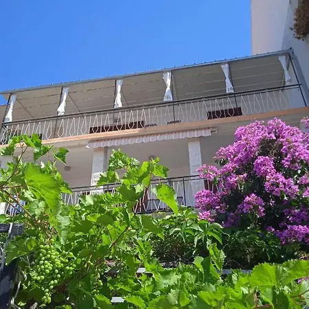 Stonewood Dalmacija *