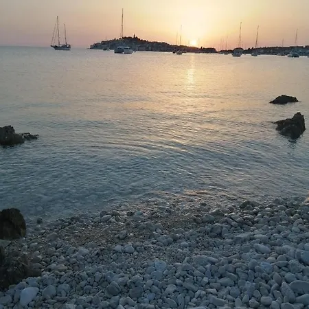 Stonewood Dalmacija *